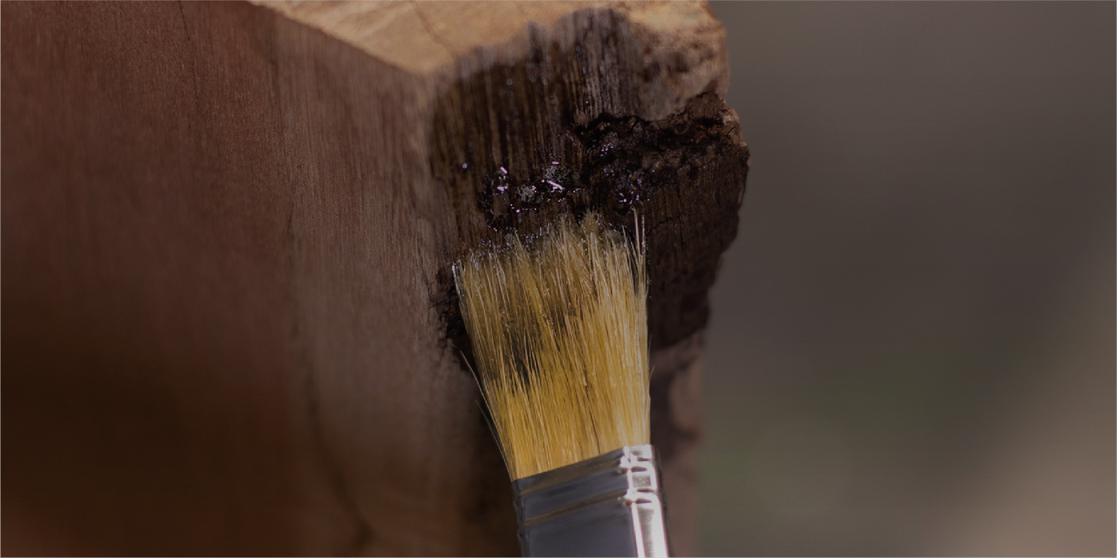 Sculpwood Putty | Moldable Epoxy Wood Filler Putty - System Three